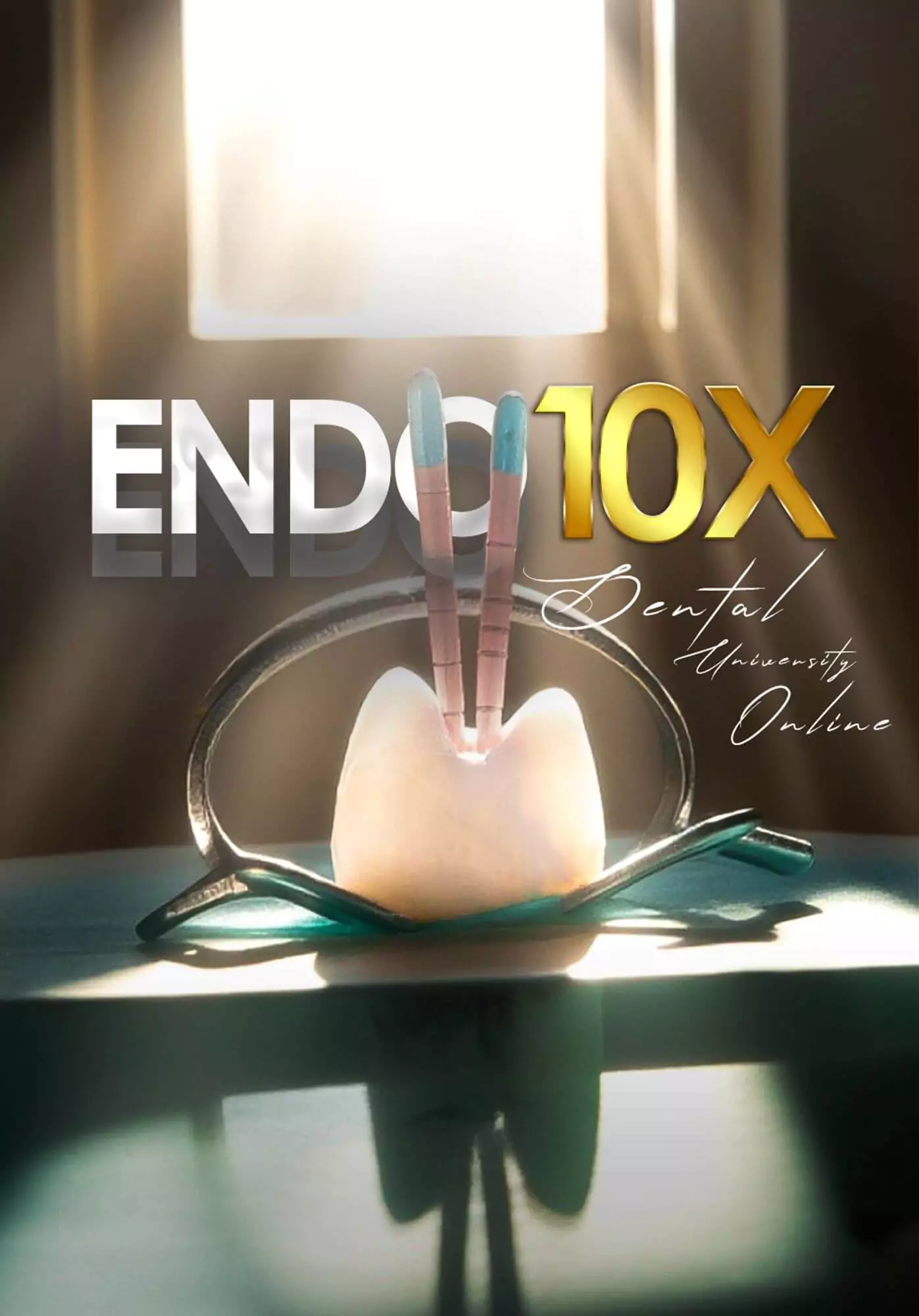 endo10x-image